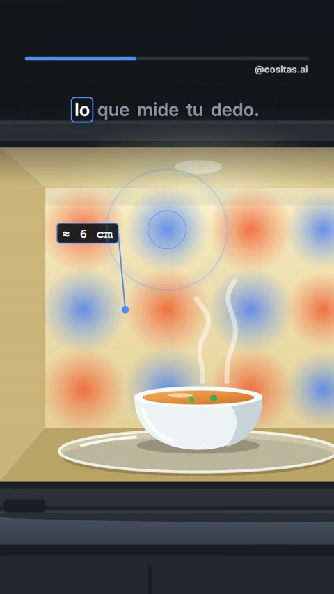 Reel sobre el microondas