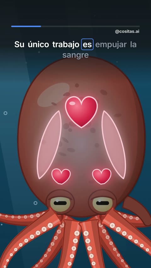 Reel sobre el pulpo